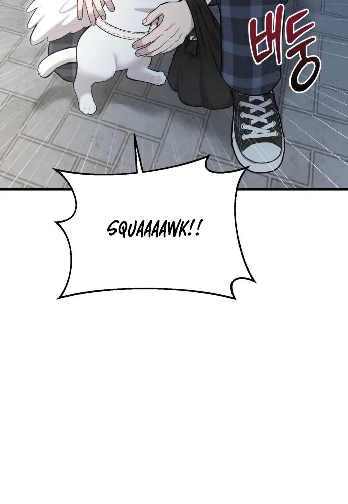 Read Hello, Fluffy Griffin! chapter 12 image 55 on Lezhin