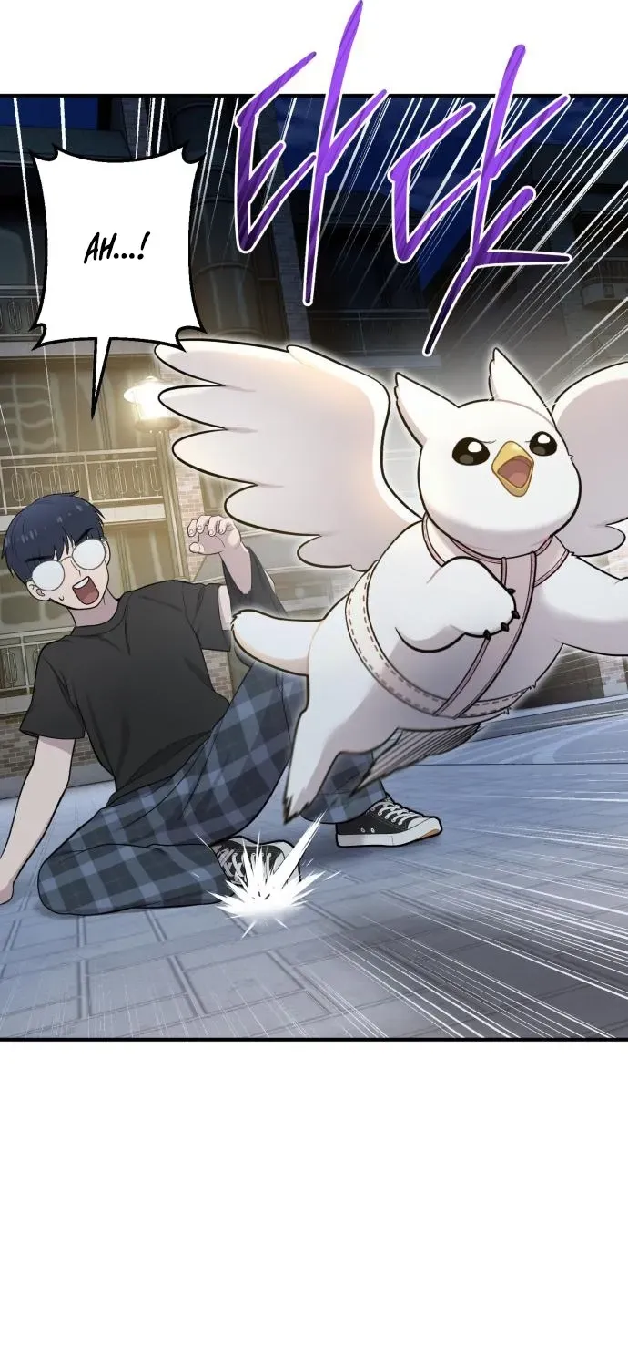 Read Hello, Fluffy Griffin! chapter 12 image 56 on Lezhin