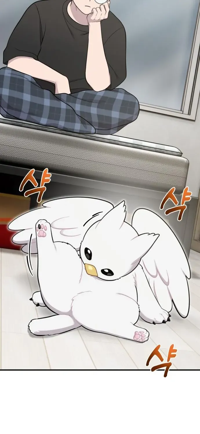 Read Hello, Fluffy Griffin! chapter 13 image 47 on Lezhin