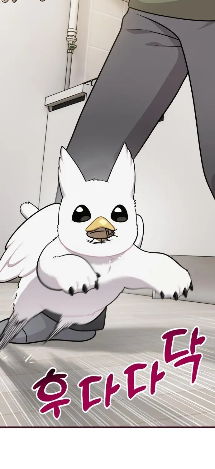Read Hello, Fluffy Griffin! chapter 16 image 57 on Lezhin