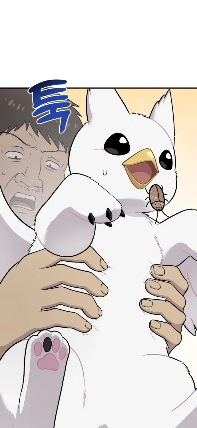 Read Hello, Fluffy Griffin! chapter 16 image 65 on Lezhin