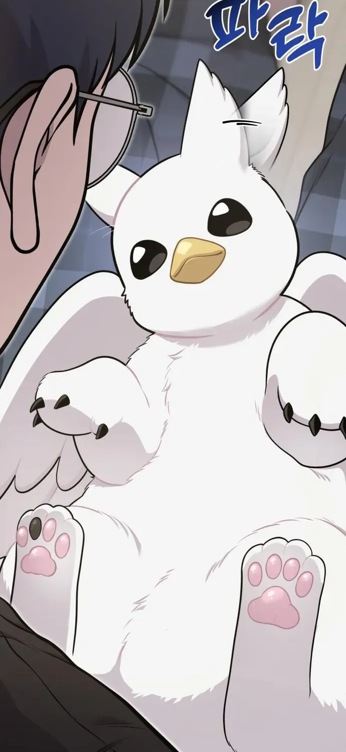 Read Hello, Fluffy Griffin! chapter 17 image 36 on Lezhin