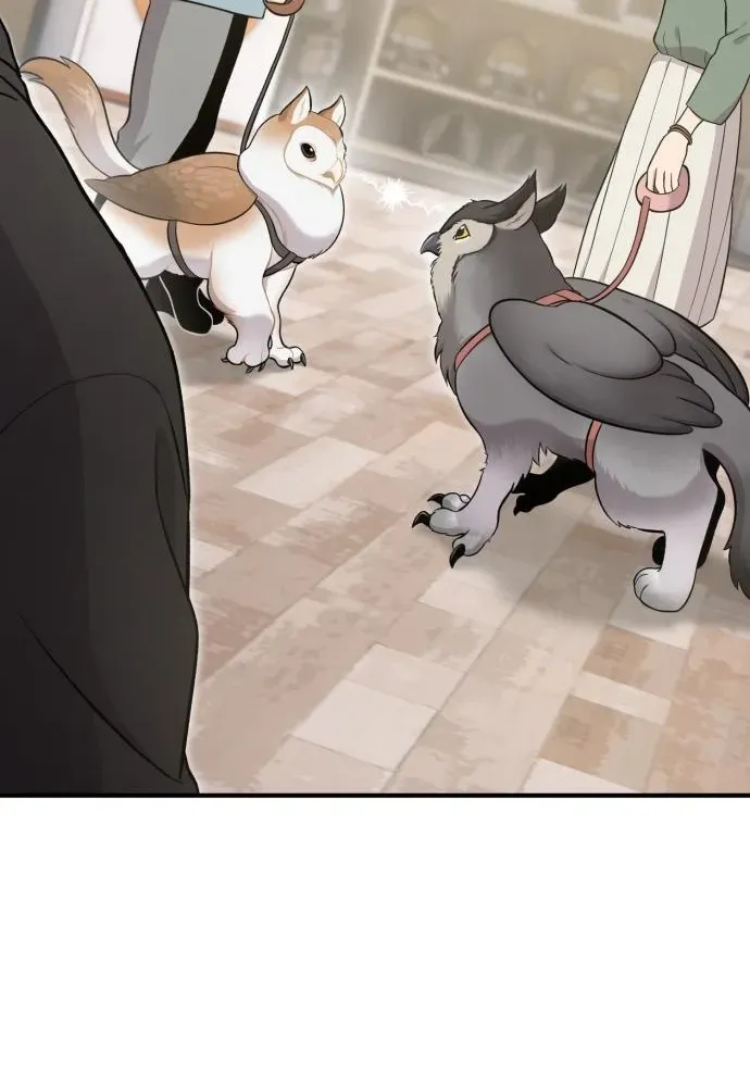 Read Hello, Fluffy Griffin! chapter 17 image 55 on Lezhin