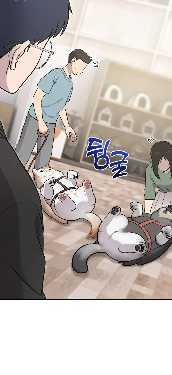 Read Hello, Fluffy Griffin! chapter 17 image 59 on Lezhin