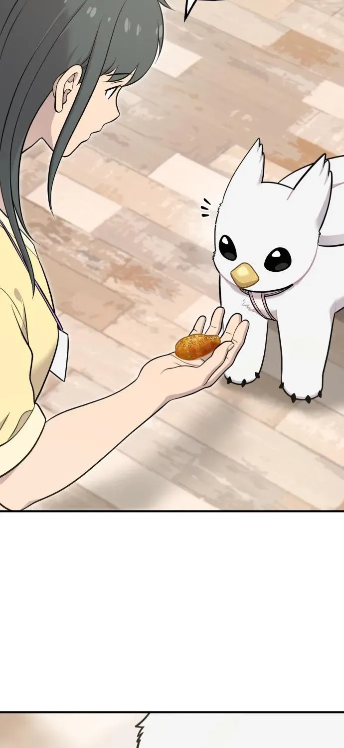 Read Hello, Fluffy Griffin! chapter 17 image 84 on Lezhin