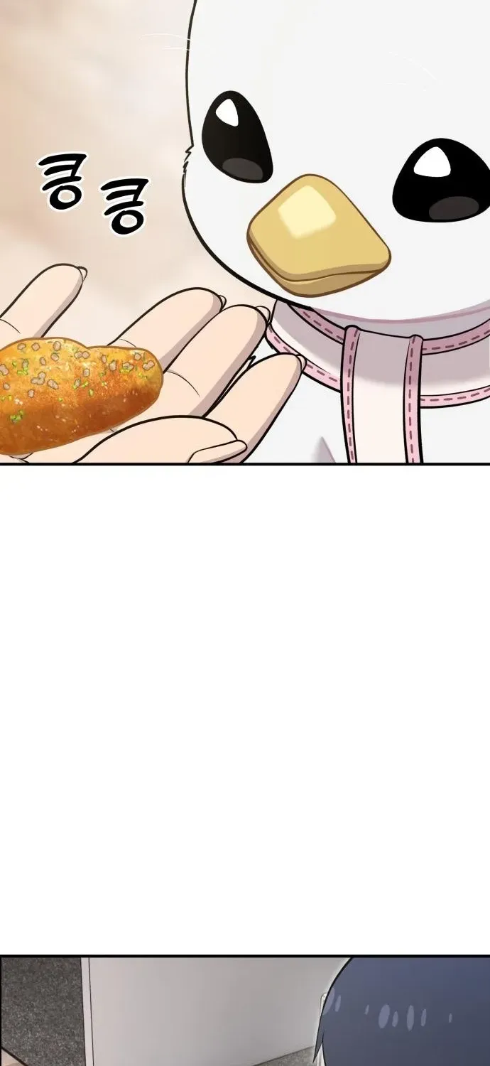 Read Hello, Fluffy Griffin! chapter 17 image 85 on Lezhin