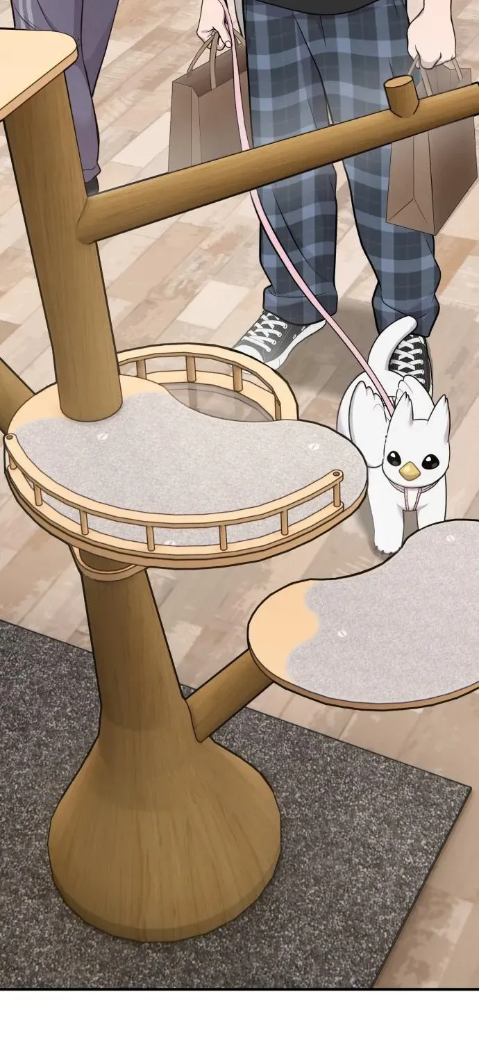 Read Hello, Fluffy Griffin! chapter 18 image 42 on Lezhin