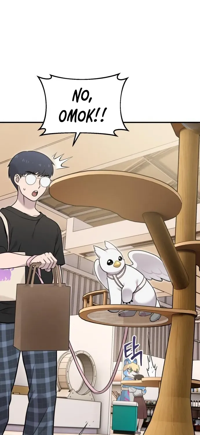 Read Hello, Fluffy Griffin! chapter 18 image 43 on Lezhin
