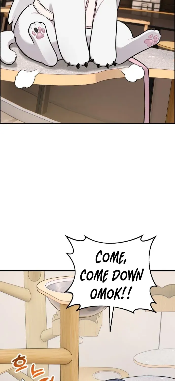 Read Hello, Fluffy Griffin! chapter 18 image 46 on Lezhin