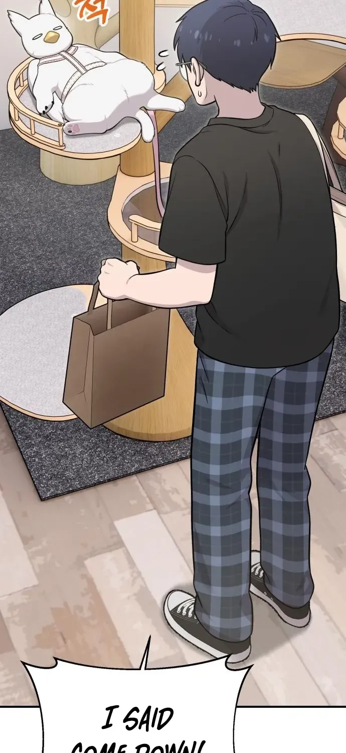 Read Hello, Fluffy Griffin! chapter 18 image 47 on Lezhin