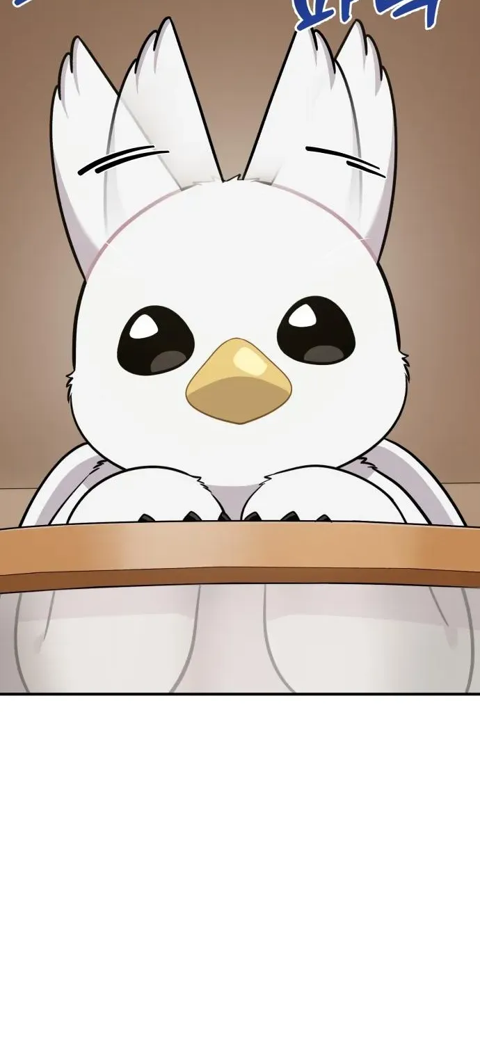 Read Hello, Fluffy Griffin! chapter 18 image 66 on Lezhin