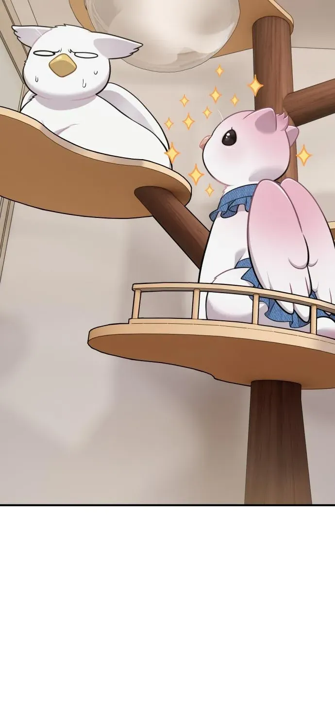 Read Hello, Fluffy Griffin! chapter 18 image 77 on Lezhin