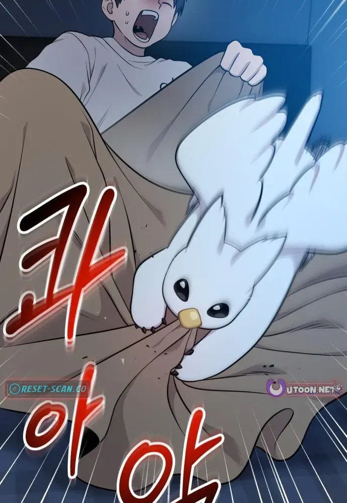 Read Hello, Fluffy Griffin! chapter 19 image 62 on Lezhin