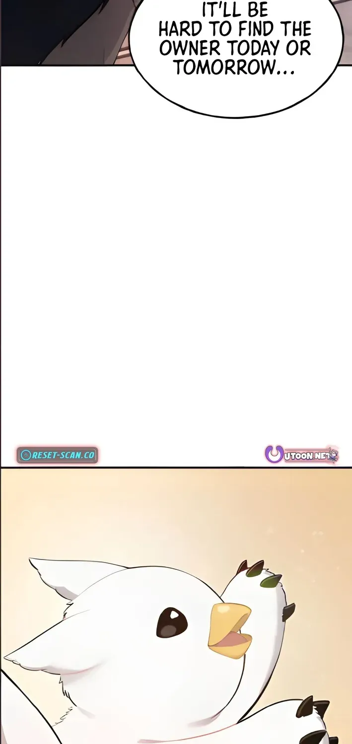 Read Hello, Fluffy Griffin! chapter 2 image 12 on Lezhin