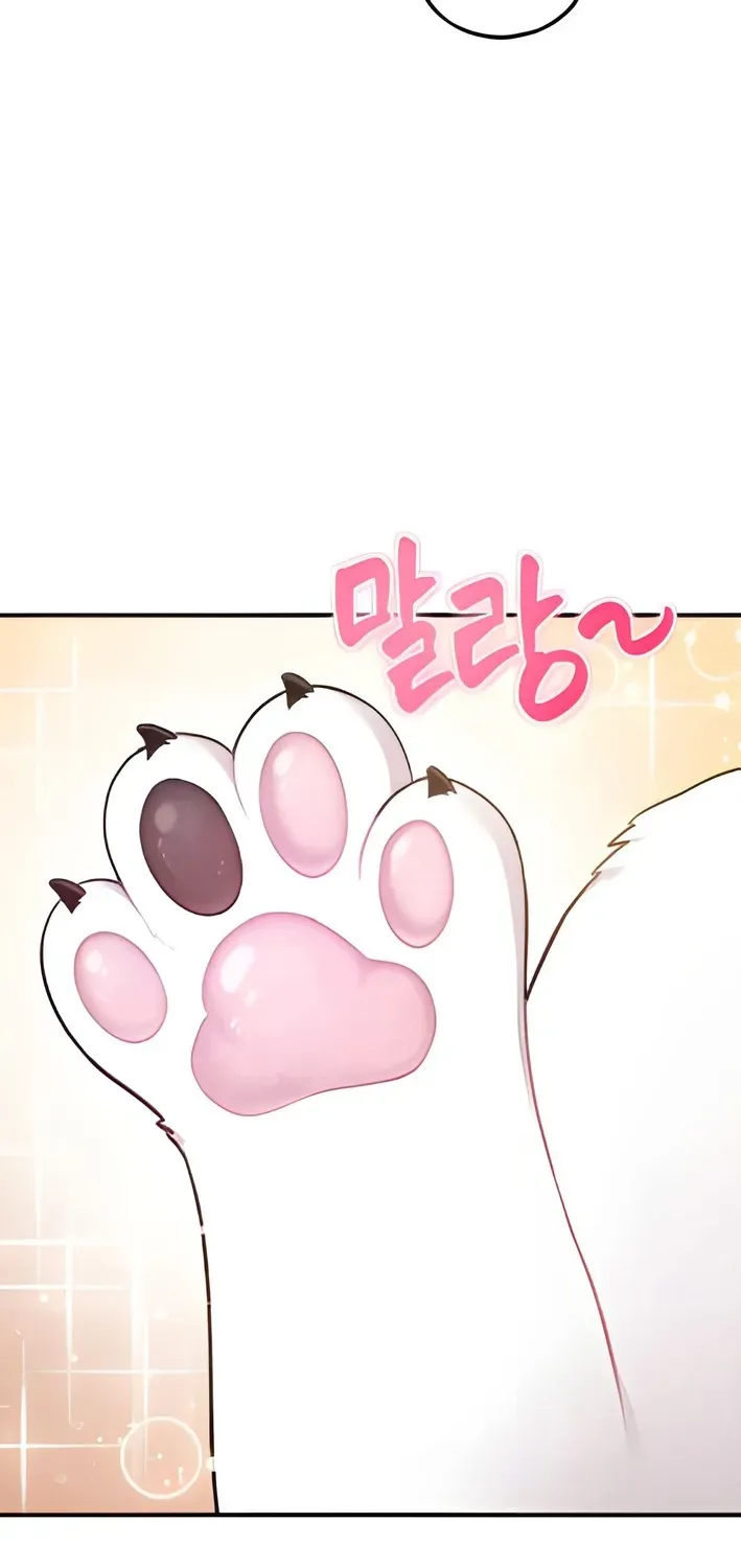 Read Hello, Fluffy Griffin! chapter 2 image 24 on Lezhin