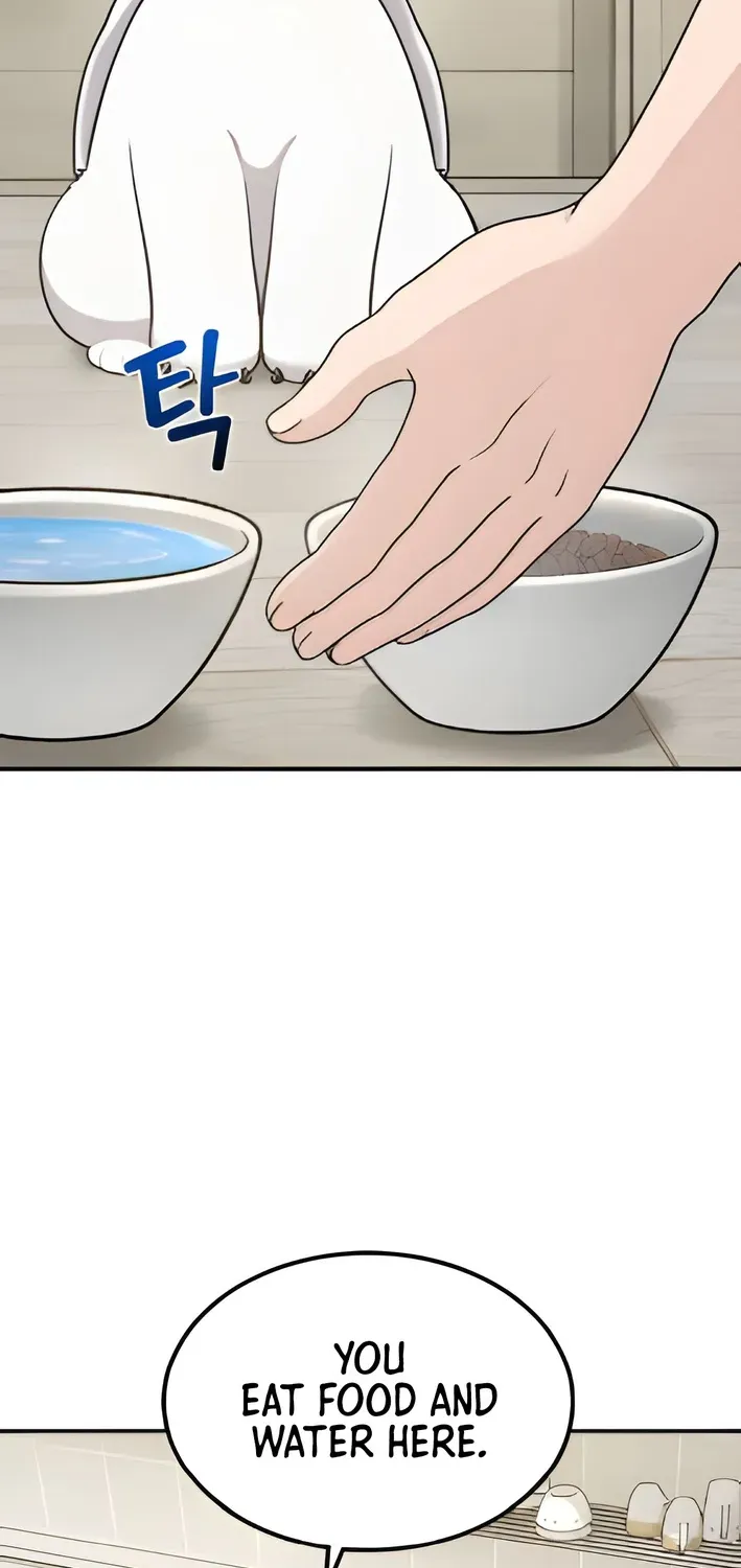 Read Hello, Fluffy Griffin! chapter 2 image 53 on Lezhin