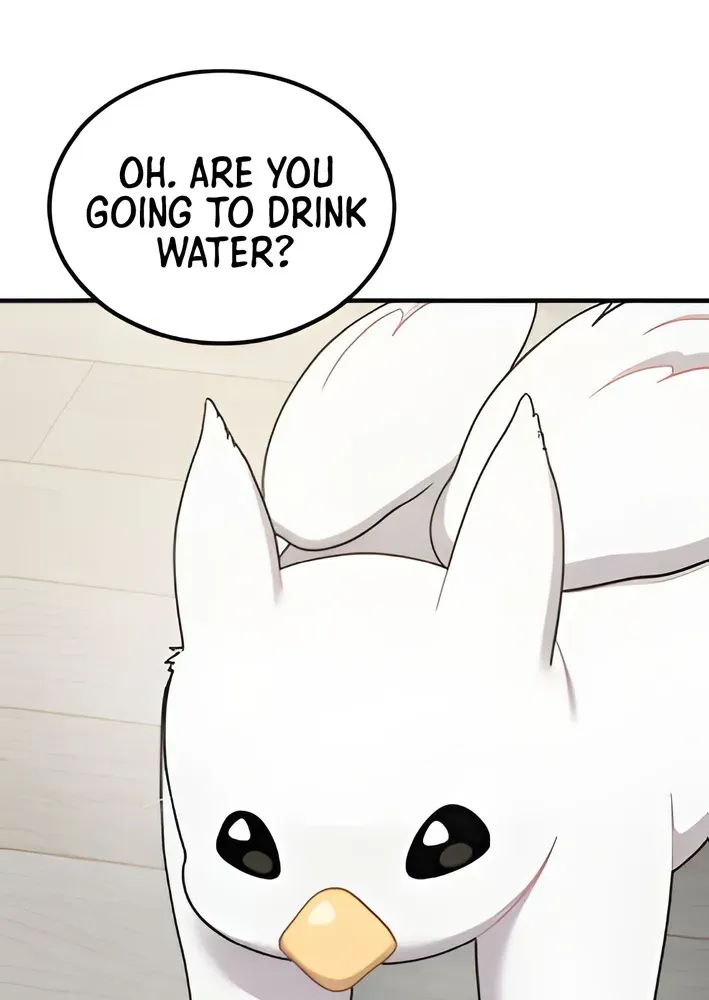 Read Hello, Fluffy Griffin! chapter 2 image 55 on Lezhin