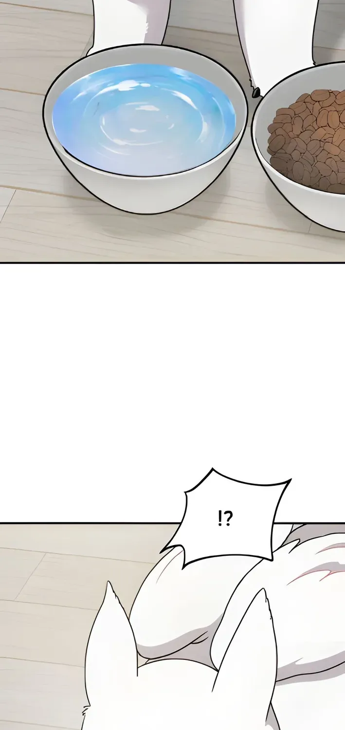 Read Hello, Fluffy Griffin! chapter 2 image 56 on Lezhin