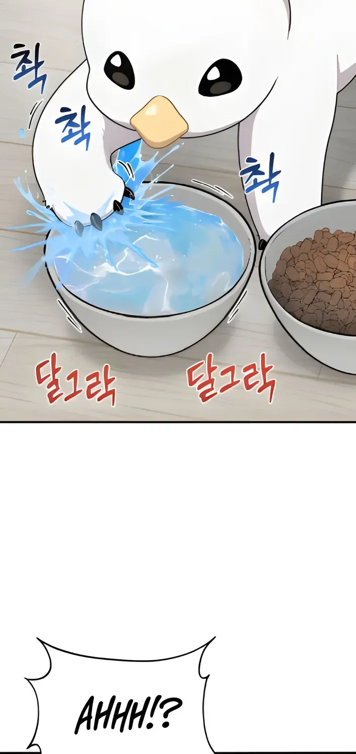 Read Hello, Fluffy Griffin! chapter 2 image 57 on Lezhin