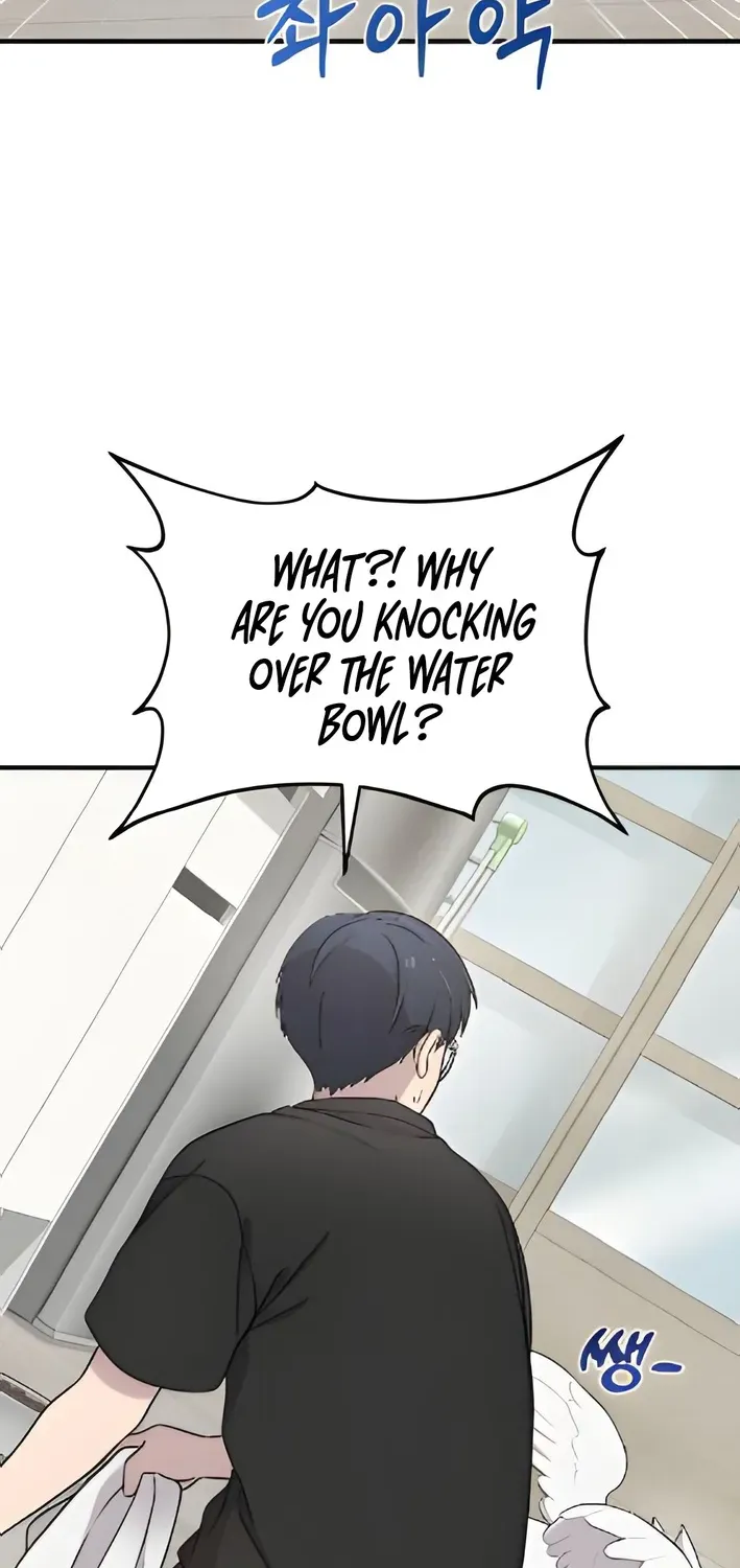 Read Hello, Fluffy Griffin! chapter 2 image 59 on Lezhin