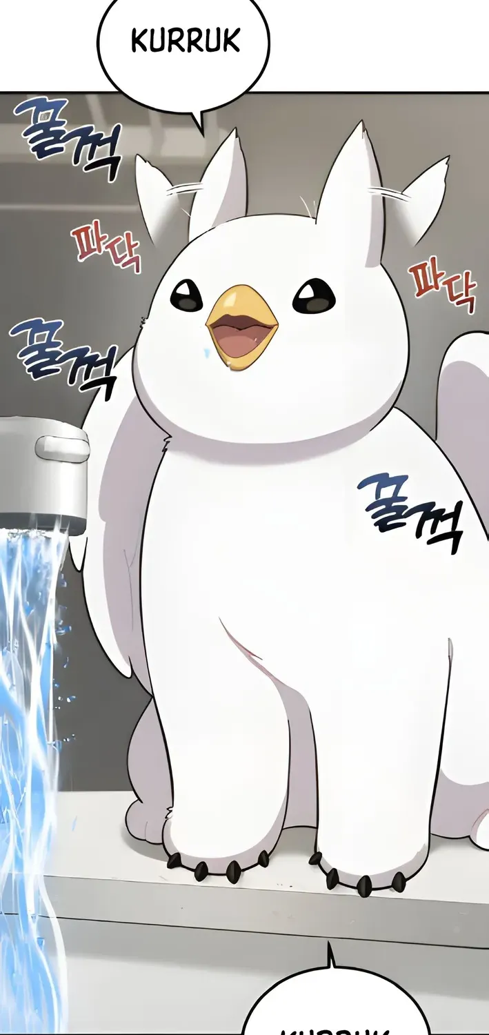 Read Hello, Fluffy Griffin! chapter 2 image 65 on Lezhin