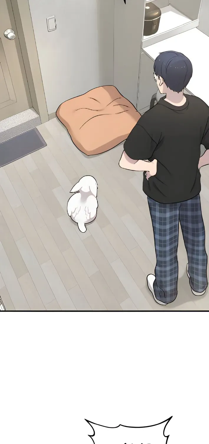 Read Hello, Fluffy Griffin! chapter 2 image 70 on Lezhin