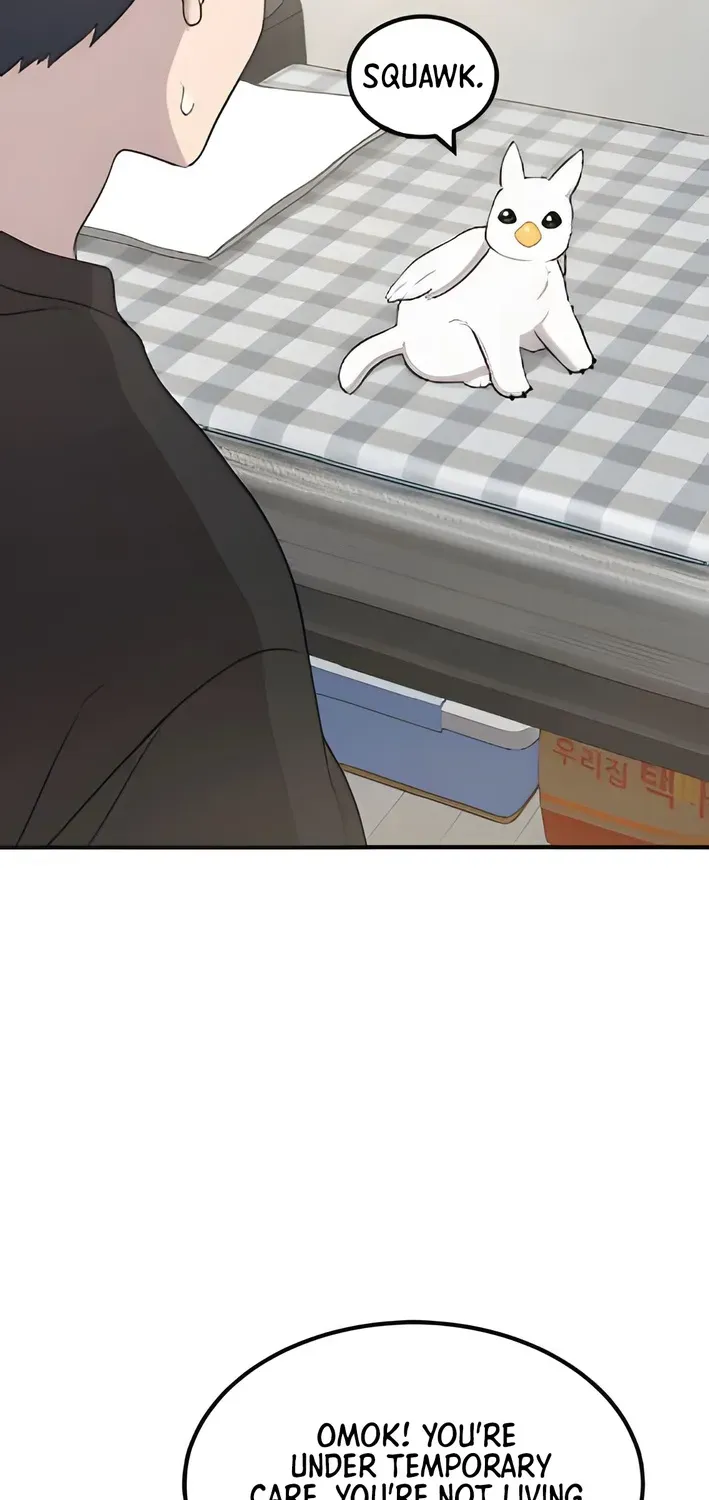 Read Hello, Fluffy Griffin! chapter 2 image 74 on Lezhin