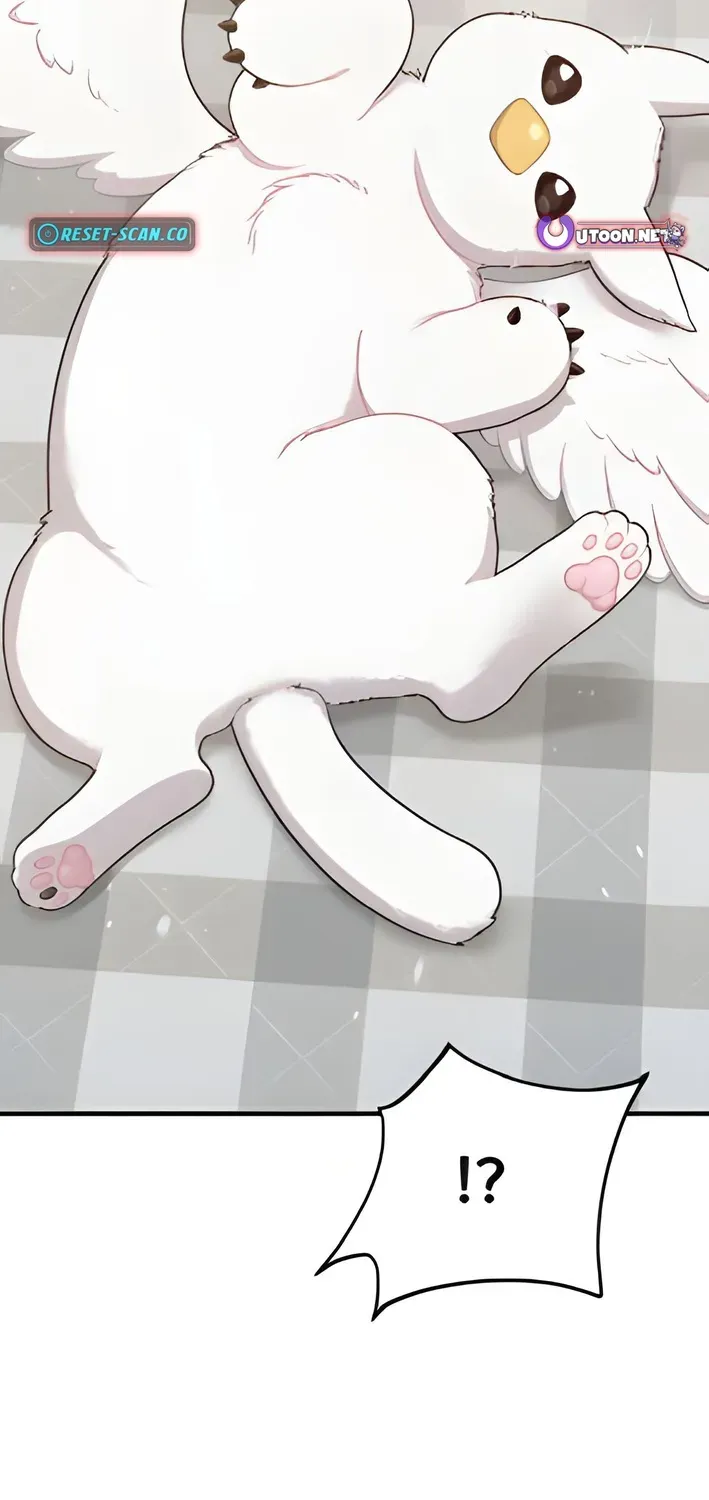 Read Hello, Fluffy Griffin! chapter 2 image 77 on Lezhin