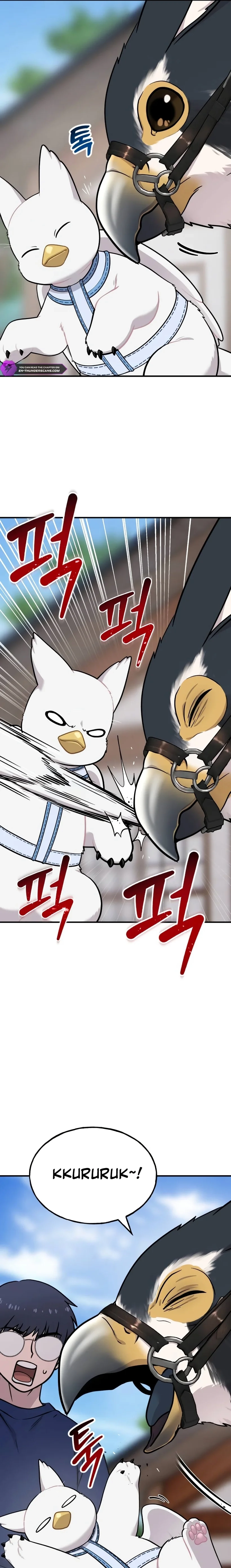 Read Hello, Fluffy Griffin! chapter 24 image 15 on Lezhin