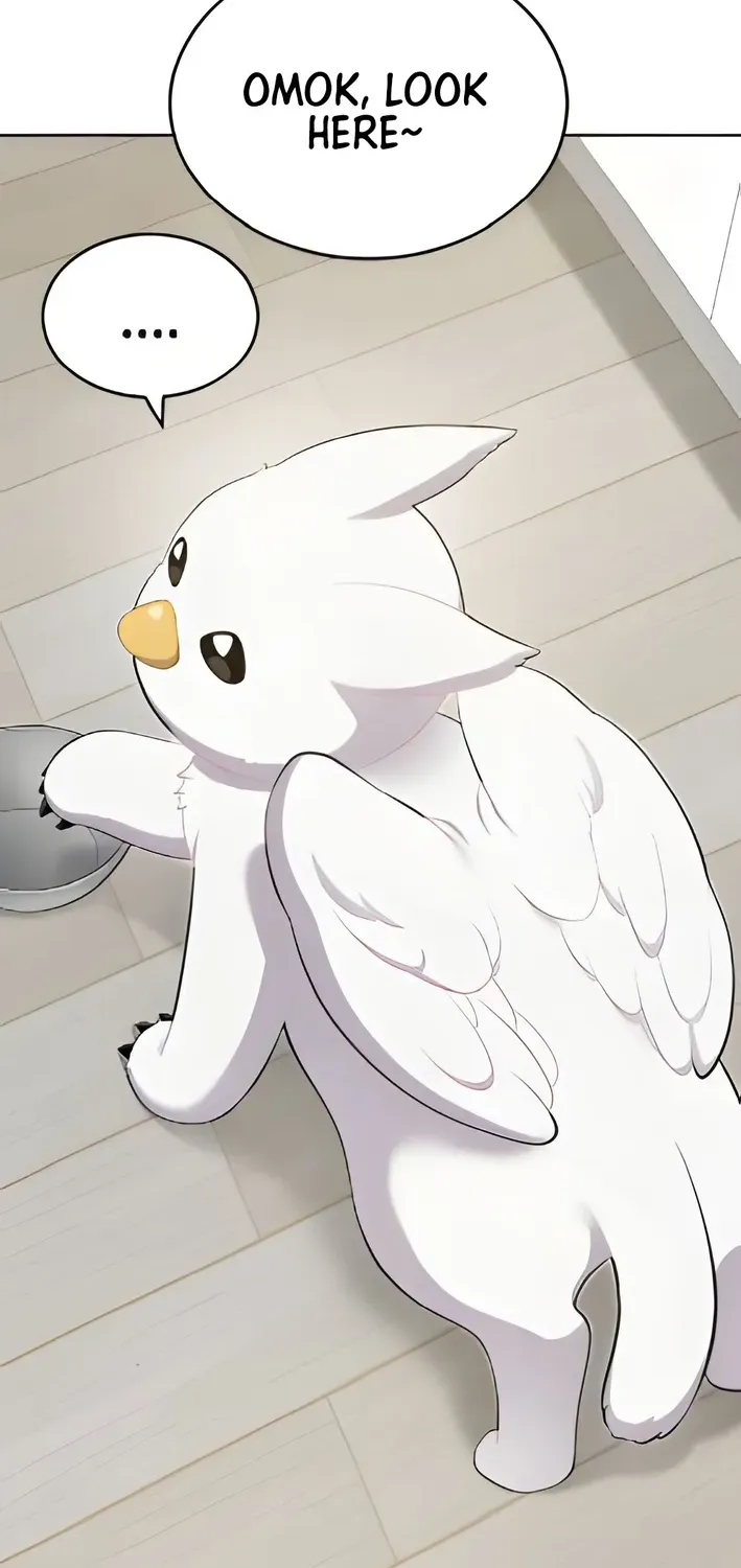 Read Hello, Fluffy Griffin! chapter 3 image 1 on Lezhin
