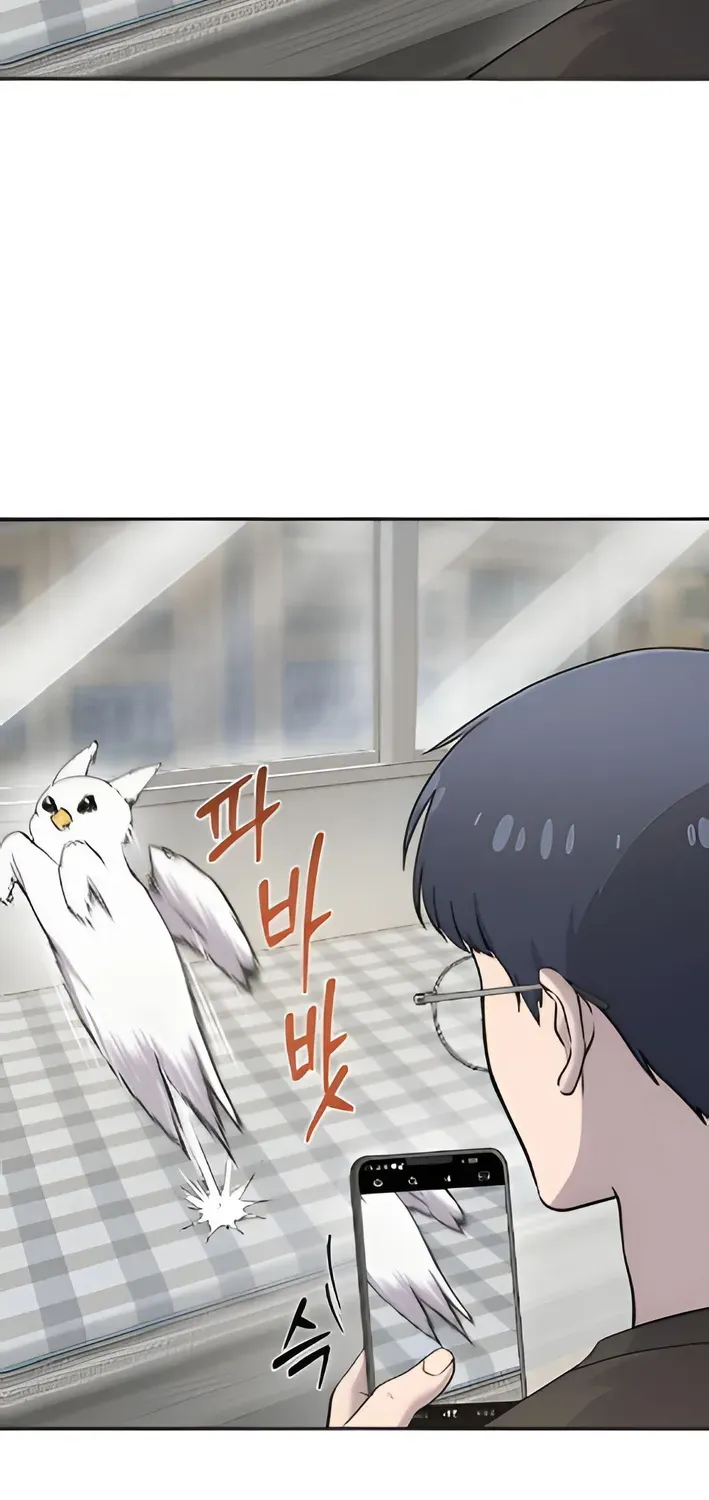 Read Hello, Fluffy Griffin! chapter 3 image 11 on Lezhin