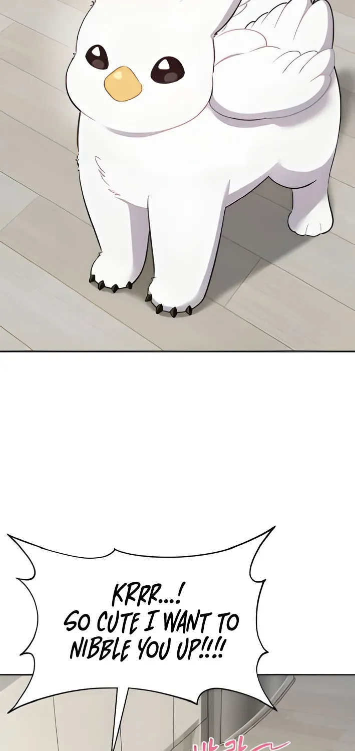Read Hello, Fluffy Griffin! chapter 3 image 28 on Lezhin
