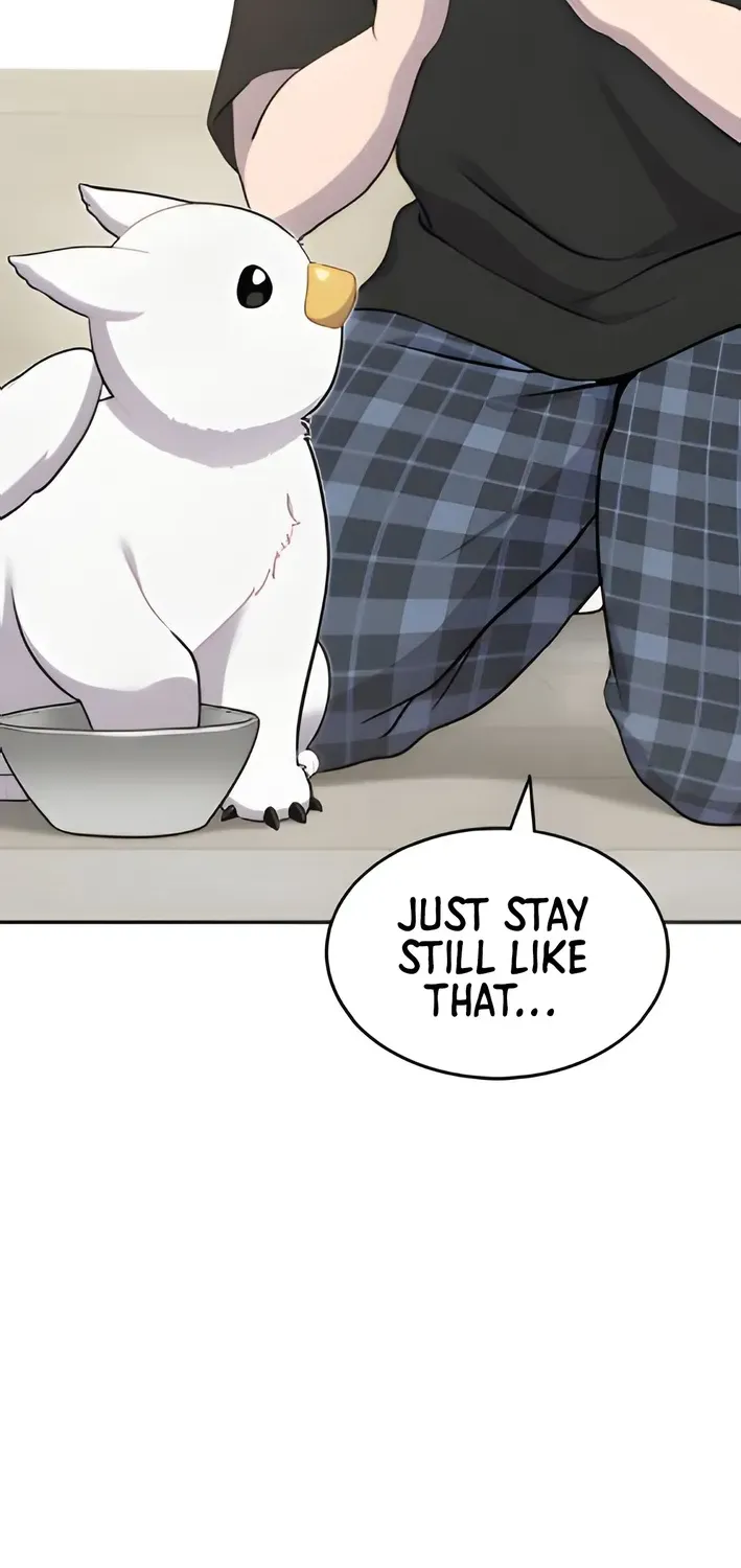 Read Hello, Fluffy Griffin! chapter 3 image 3 on Lezhin