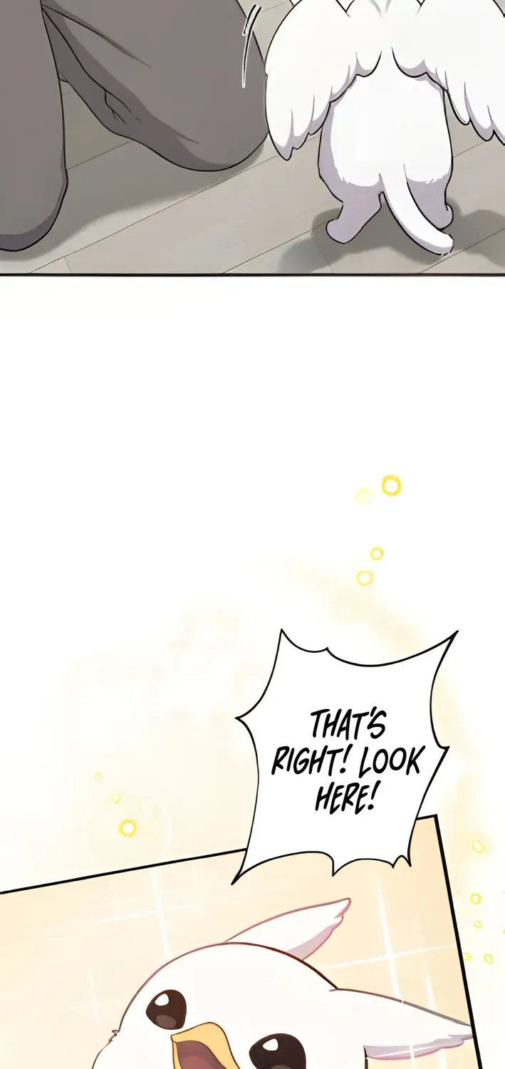 Read Hello, Fluffy Griffin! chapter 3 image 45 on Lezhin