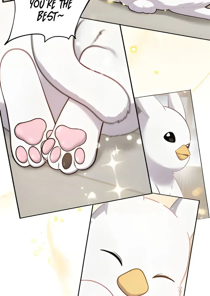Read Hello, Fluffy Griffin! chapter 3 image 48 on Lezhin