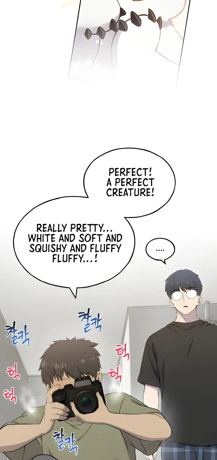 Read Hello, Fluffy Griffin! chapter 3 image 49 on Lezhin