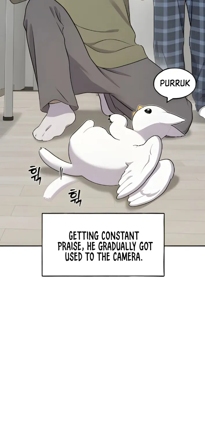 Read Hello, Fluffy Griffin! chapter 3 image 50 on Lezhin