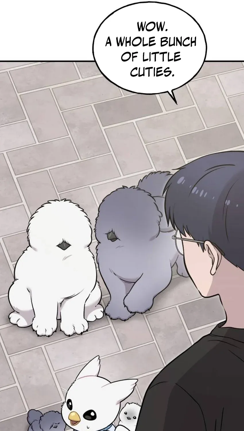 Read Hello, Fluffy Griffin! chapter 33 image 10 on Lezhin