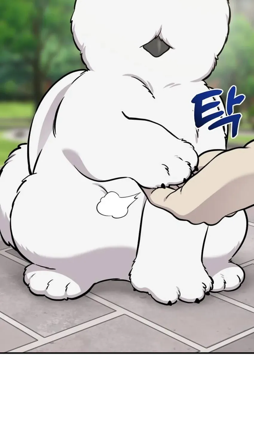 Read Hello, Fluffy Griffin! chapter 33 image 37 on Lezhin