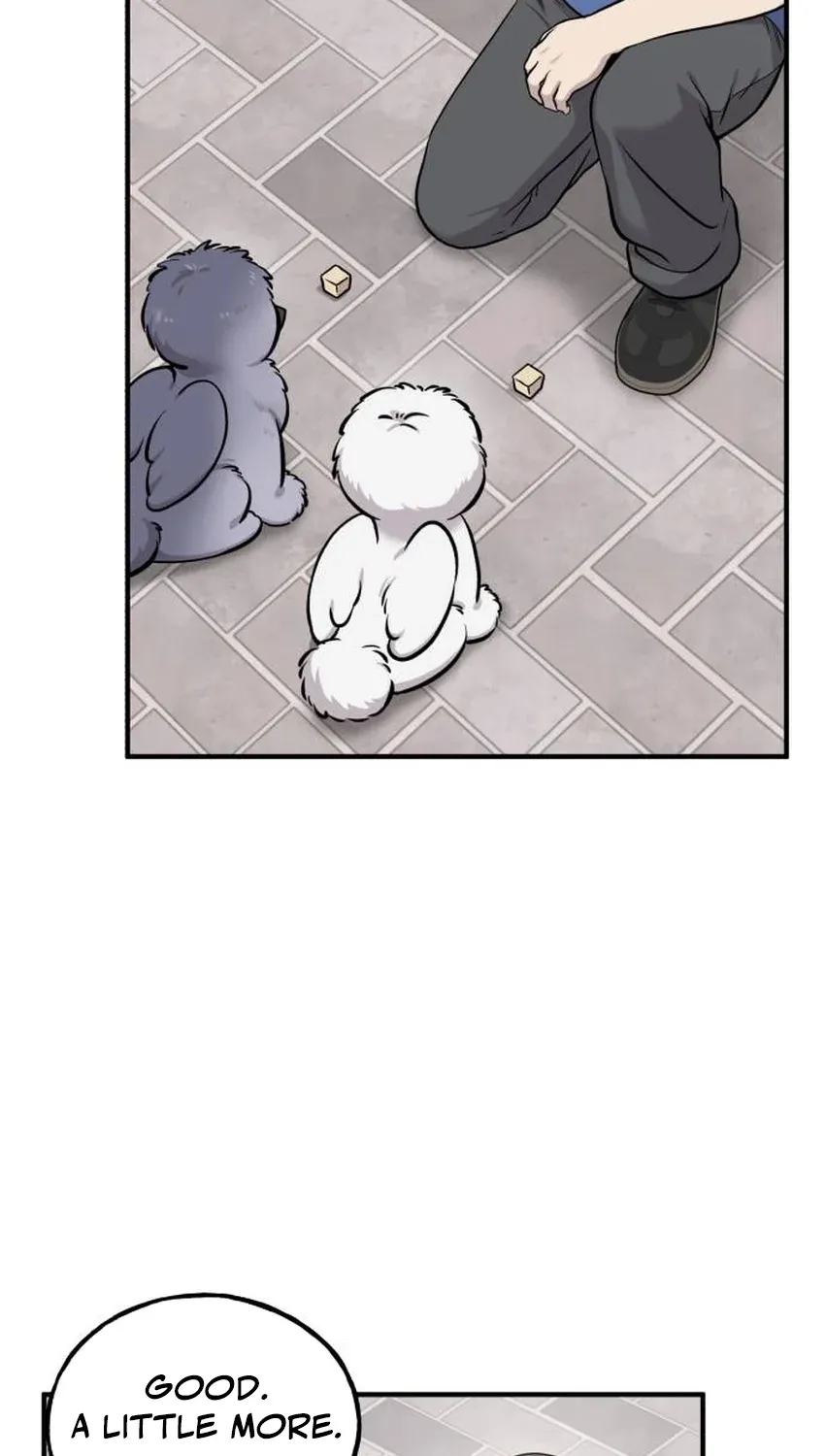 Read Hello, Fluffy Griffin! chapter 33 image 45 on Lezhin