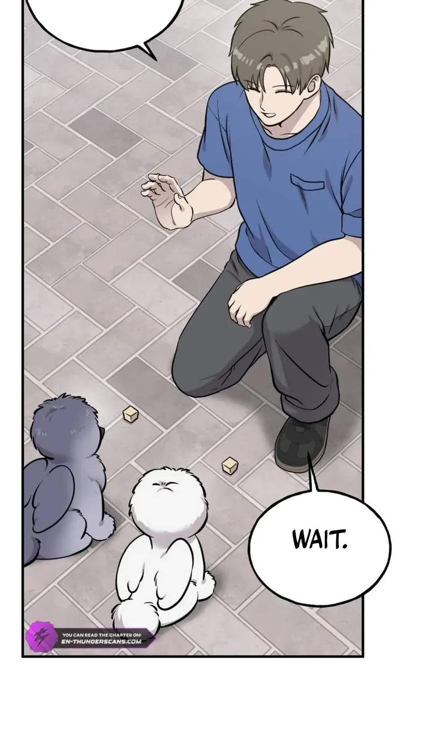 Read Hello, Fluffy Griffin! chapter 33 image 46 on Lezhin