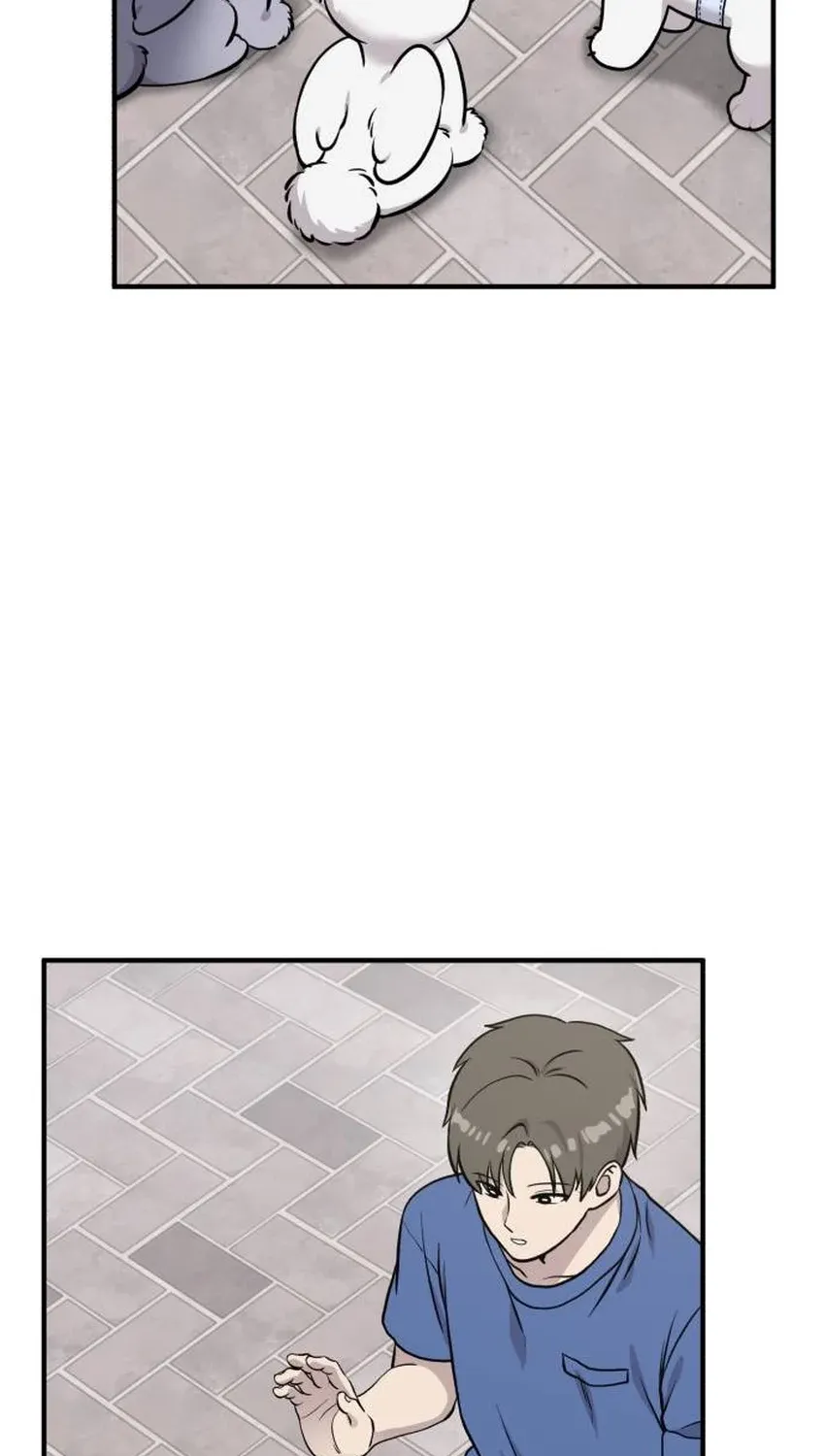 Read Hello, Fluffy Griffin! chapter 33 image 48 on Lezhin