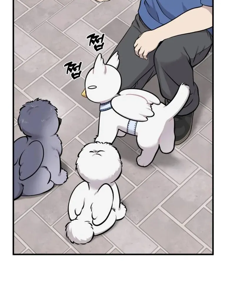 Read Hello, Fluffy Griffin! chapter 33 image 49 on Lezhin