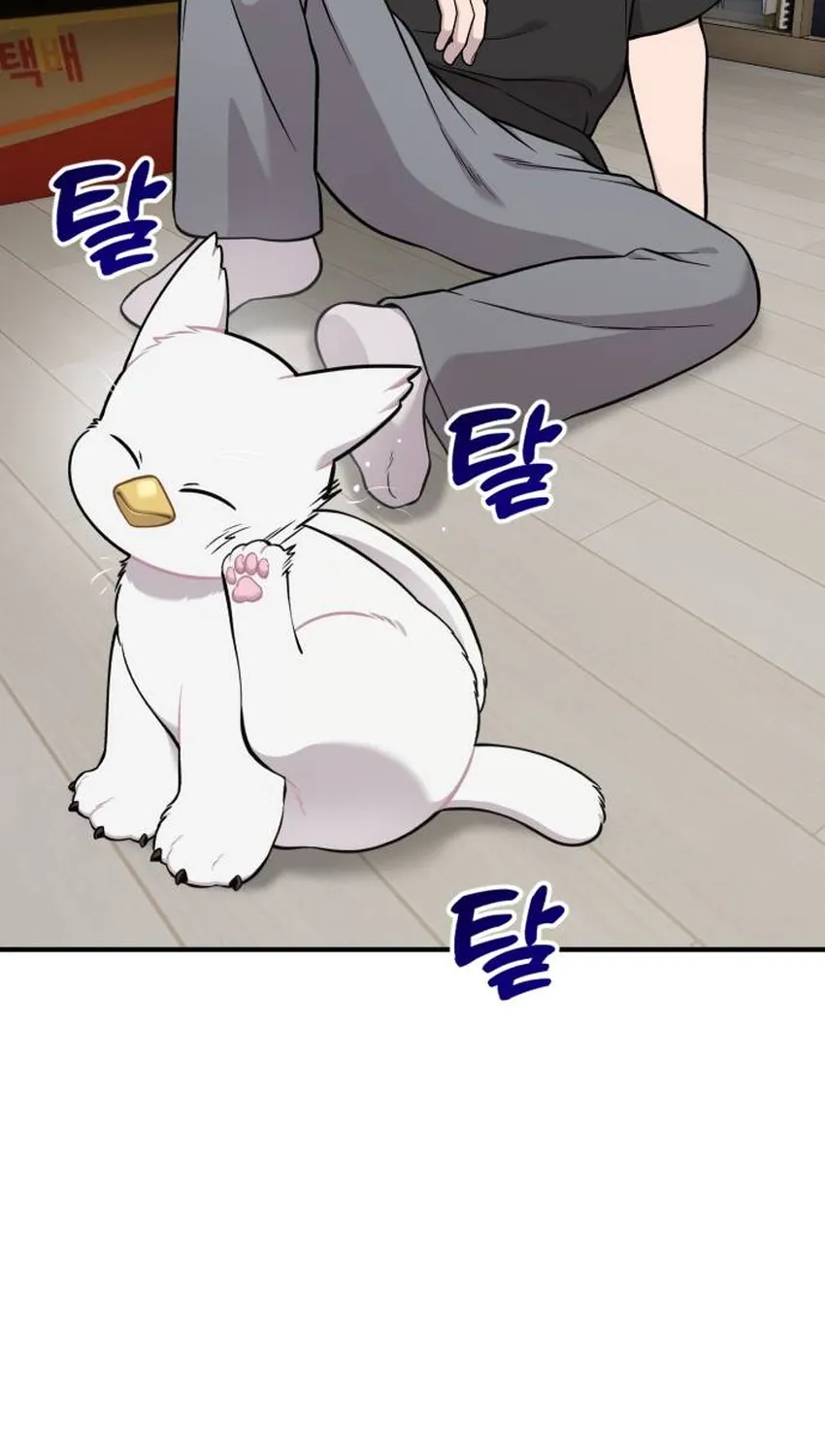 Read Hello, Fluffy Griffin! chapter 34 image 13 on Lezhin