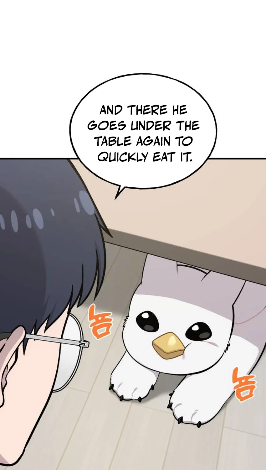 Read Hello, Fluffy Griffin! chapter 34 image 49 on Lezhin
