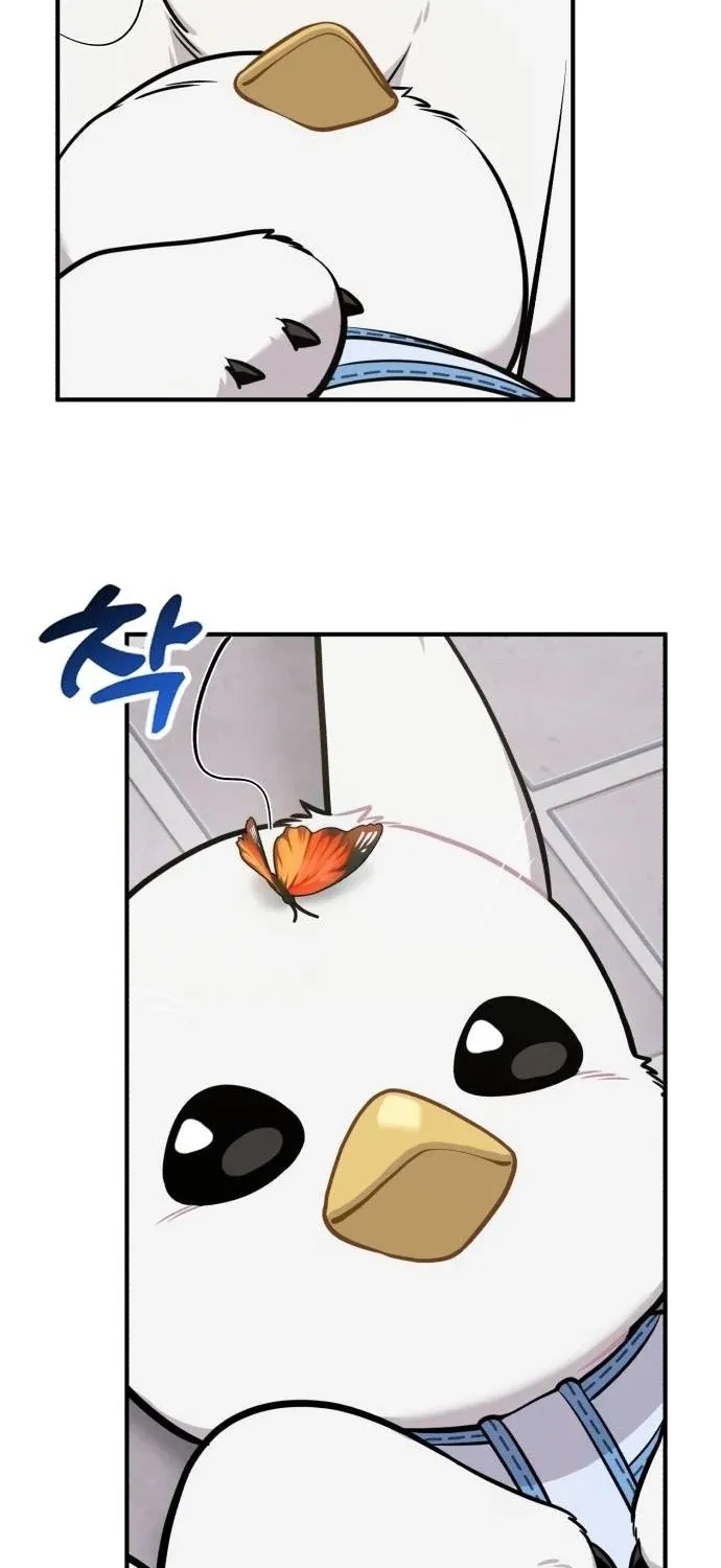 Read Hello, Fluffy Griffin! chapter 35 image 12 on Lezhin