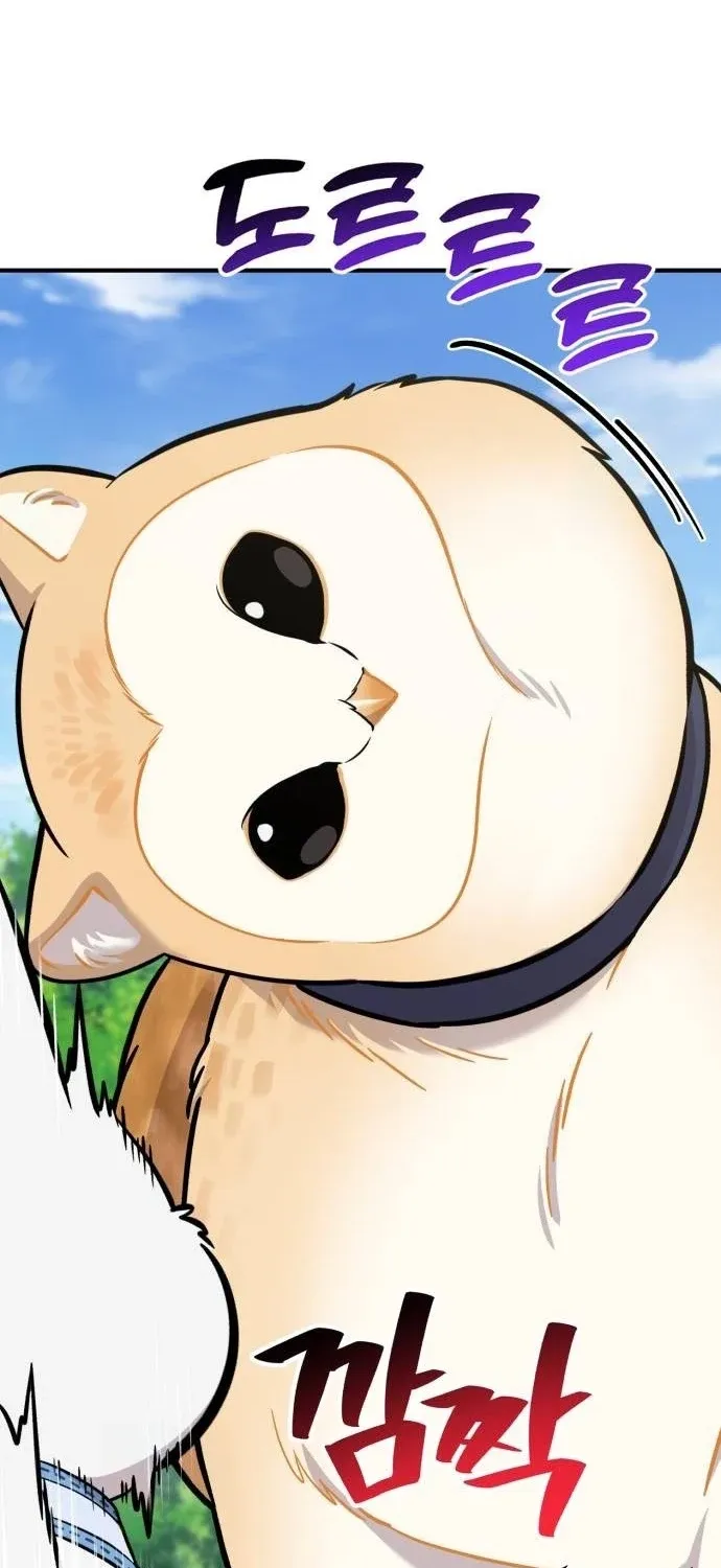 Read Hello, Fluffy Griffin! chapter 35 image 40 on Lezhin