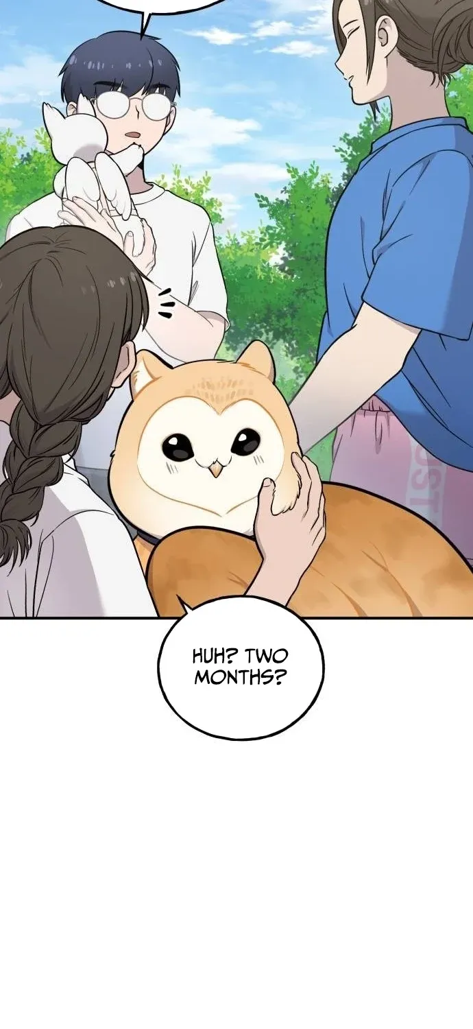 Read Hello, Fluffy Griffin! chapter 35 image 46 on Lezhin