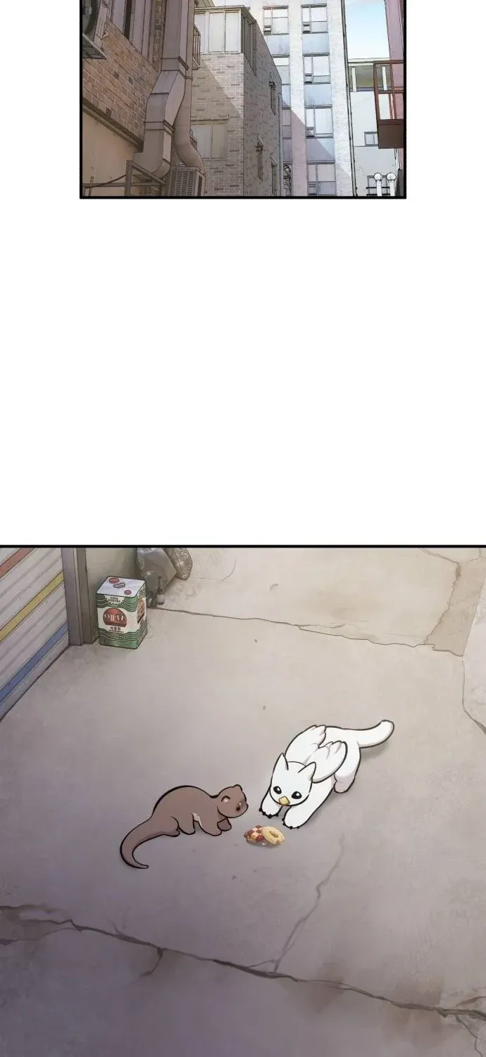 Read Hello, Fluffy Griffin! chapter 35 image 90 on Lezhin