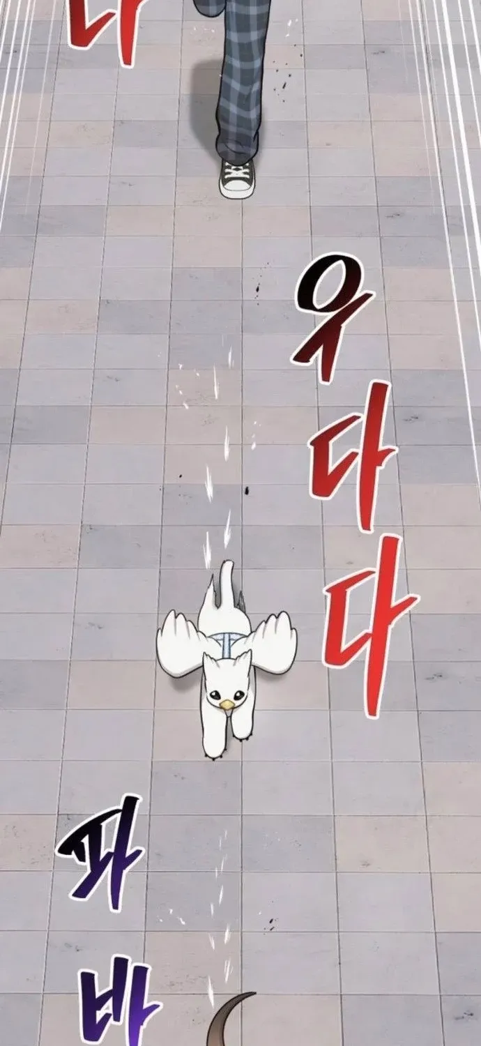 Read Hello, Fluffy Griffin! chapter 36 image 29 on Lezhin
